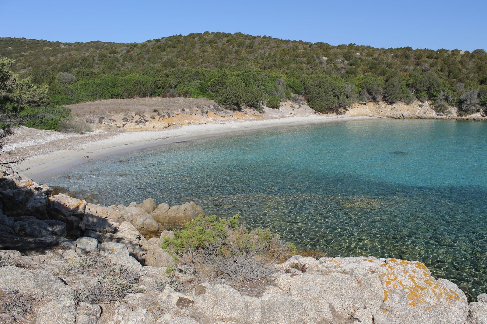 Zdjęcie Spiaggia Macchia Mala z powierzchnią turkusowa czysta woda