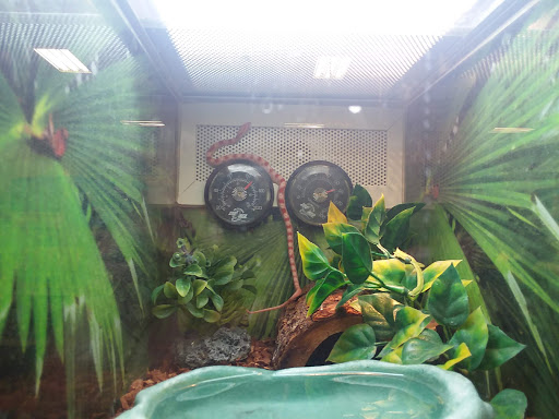 Pet Supply Store «PetSmart», reviews and photos, 263 Midway Blvd, Elyria, OH 44035, USA