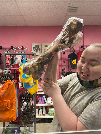 Pet Supply Store «Haute Dogs Boutique & Barkery», reviews and photos, 507 Georgia St, Vallejo, CA 94590, USA