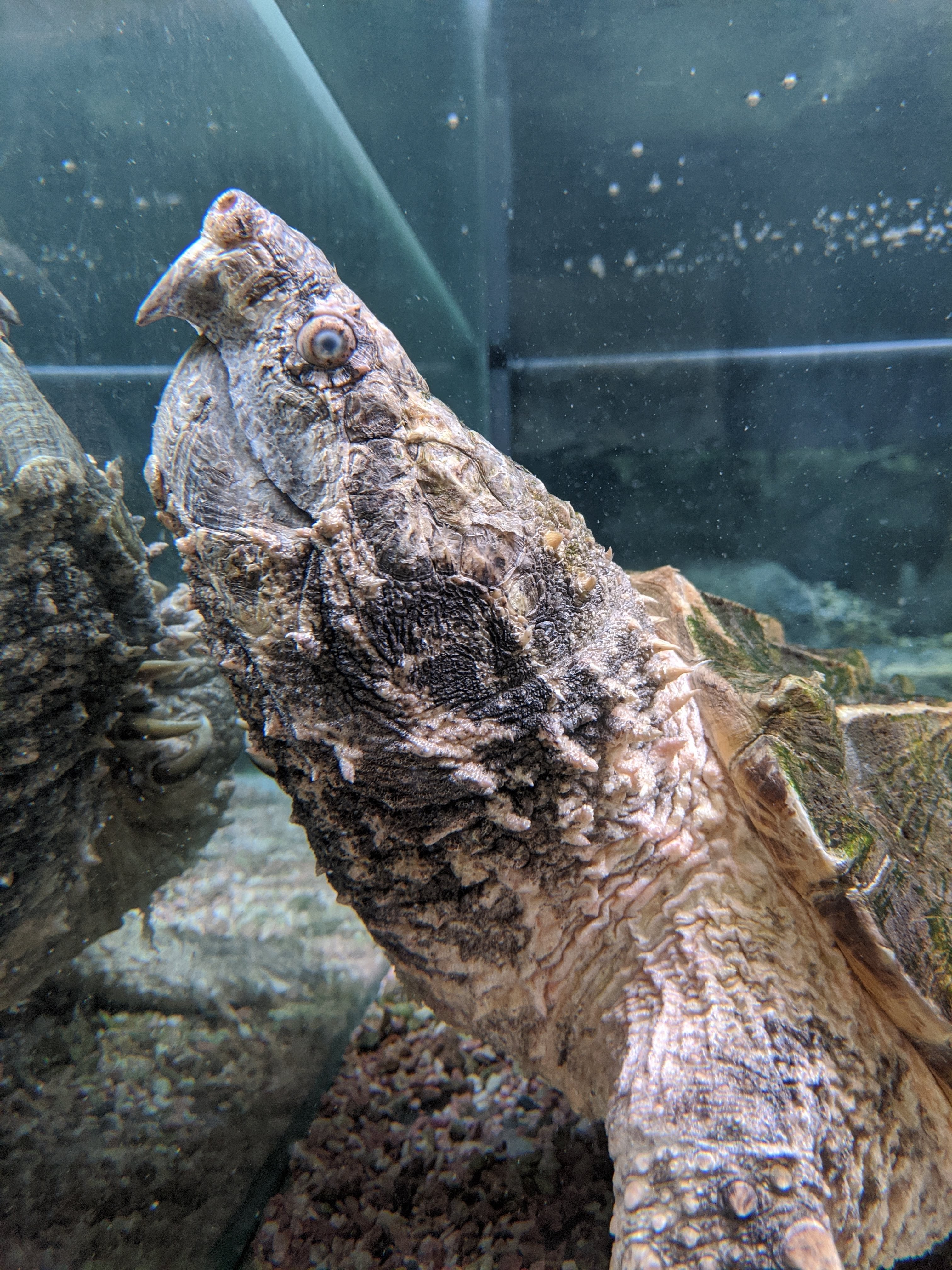 Photo n° 5 de l'avis de Gabin.u fait le 09/12/2013 à 19:36