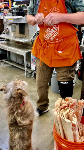 Home Improvement Store «The Home Depot», reviews and photos, 2008 Magwood Dr, Charleston, SC 29414, USA