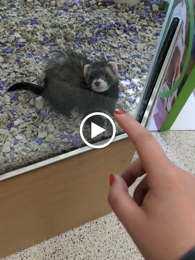 Pet Supply Store «Petco Animal Supplies», reviews and photos, 2000 NE Burnside Rd, Gresham, OR 97030, USA