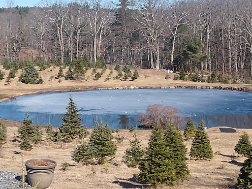 Outdoor Sports Store «Maple Hill Disc Golf», reviews and photos, 132 Marshall St, Leicester, MA 01524, USA