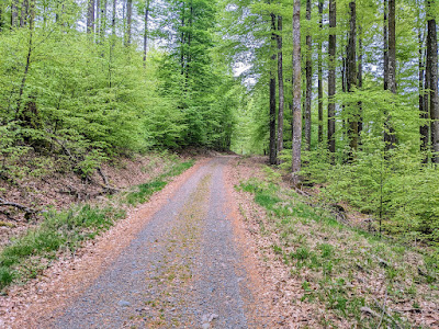 Fresse sur Moselle à Fresse-sur-Moselle