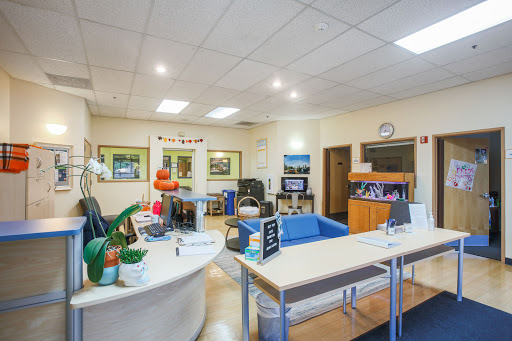 Preschool «Bright Horizons at San Jose», reviews and photos, 6120 Liska Ln, San Jose, CA 95119, USA