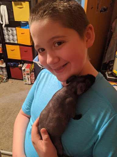 Pet Supply Store «Best Pets», reviews and photos, 905 Washington Ave, Detroit Lakes, MN 56501, USA