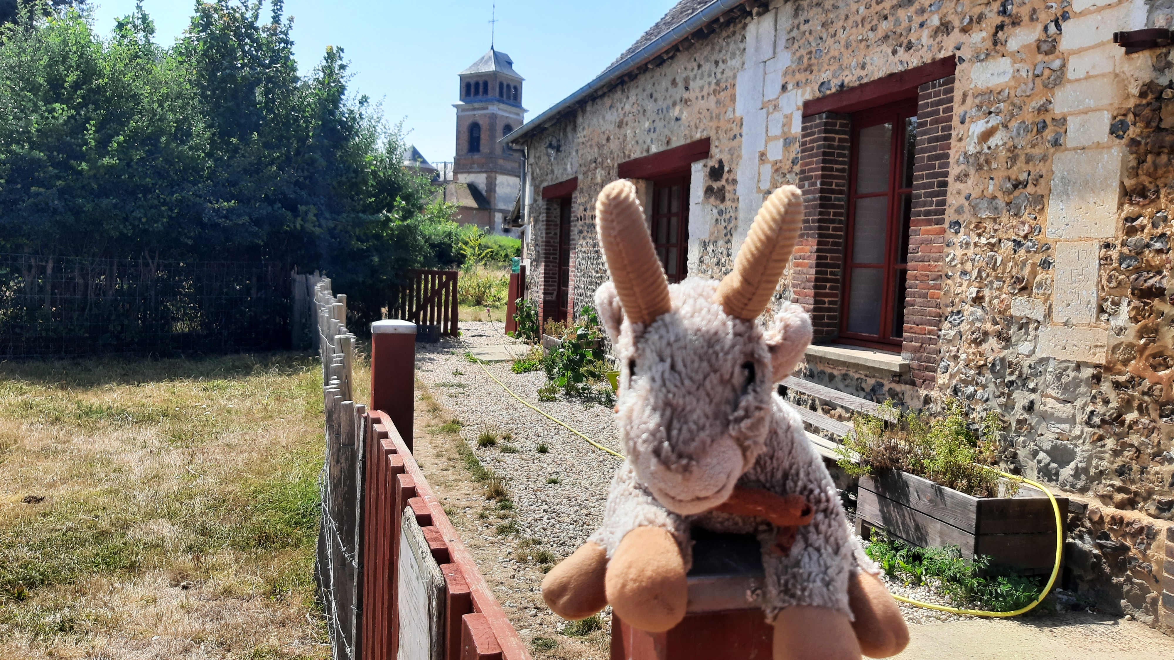 Photo n° 22 de l'avis de Armando.a fait le 18/07/2022 à 07:06