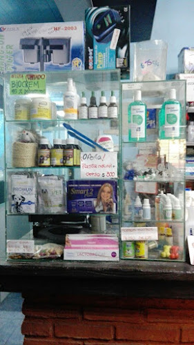 Veterinaria La Unión - Veterinario