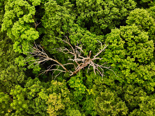 Park «Hickory Creek Preserve - LaPorte Road Access», reviews and photos, 10537 W La Porte Rd, Mokena, IL 60448, USA