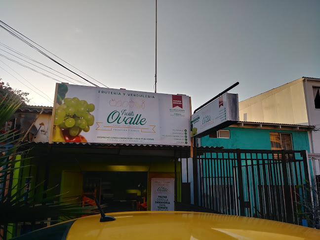 Fruits Ovalle