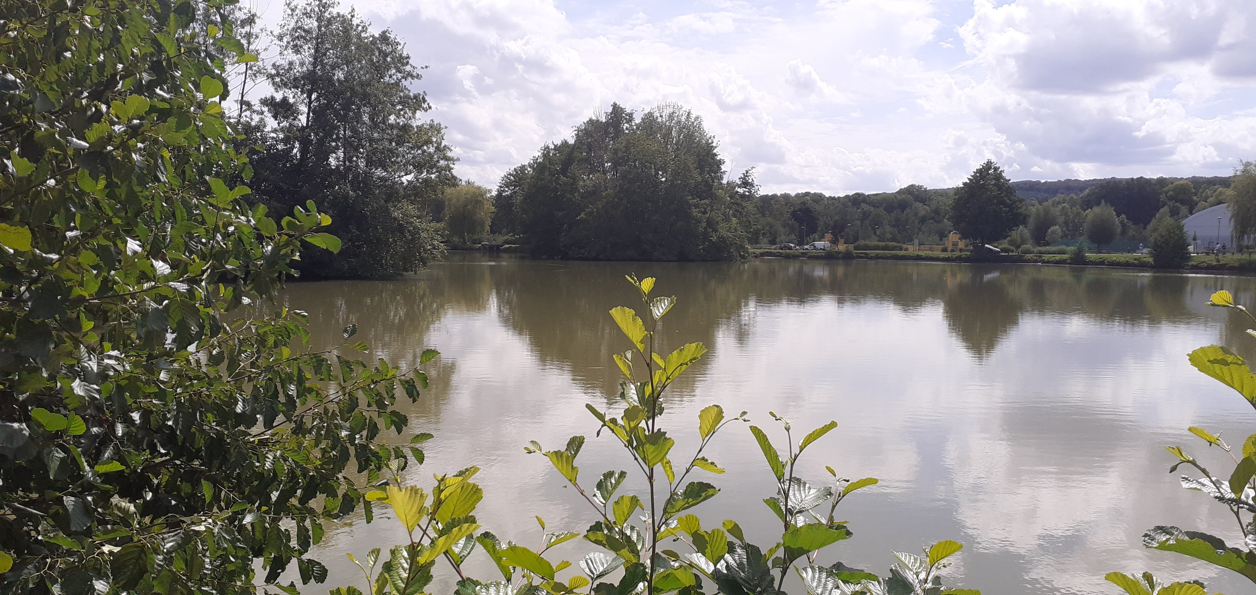 Photo n° 7 de l'avis de Frederic.e fait le 16/08/2023 à 17:41