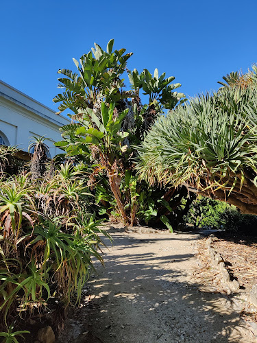 Jardim Botânico de Lisboa - Lisboa