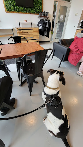 Gym «Fit Club», reviews and photos, 6936 Windsor Ave, Berwyn, IL 60402, USA