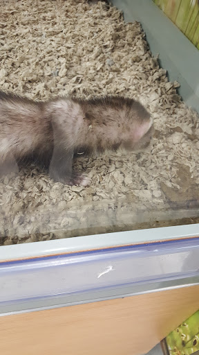 Pet Supply Store «Petco Animal Supplies», reviews and photos, 5263 Campbell Blvd, Nottingham, MD 21236, USA