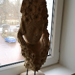 Photo n°1 de l'avis de Mirjam.a fait le 15/12/2018 à 17:47 sur le  Essentis Biohotel à Berlin