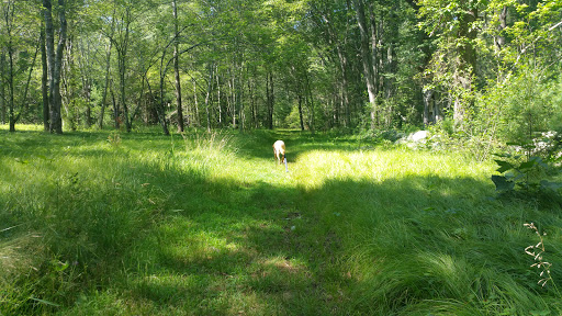 Nature Preserve «Wildlands Trust - Willow Brook Farm Preserve», reviews and photos, 99 Barker St, Pembroke, MA 02359, USA