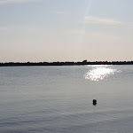 Photo n°3 de l'avis de Carmine.o fait le 09/08/2019 à 19:50 sur le  Hotel Silvana à Bellaria - Igea Marina