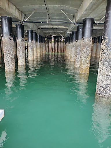 Gift Shop «Seattle Aquarium Gift Store», reviews and photos, 1483 Alaskan Way, Seattle, WA 98101, USA