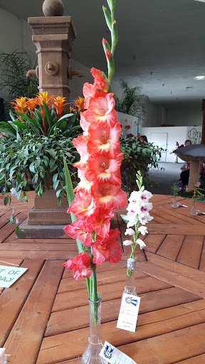 Fairground «Del Mar Fairgrounds», reviews and photos, 2260 Jimmy Durante Blvd, Del Mar, CA 92014, USA