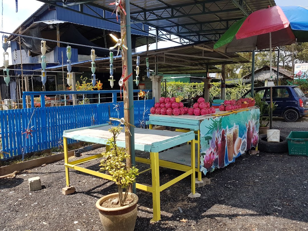 Leo Kee Farm Sepang Dragon Fruit Pitaya