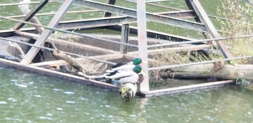 Golf Club «Trophy Club of Atlanta», reviews and photos, 15135 Hopewell Rd, Alpharetta, GA 30004, USA