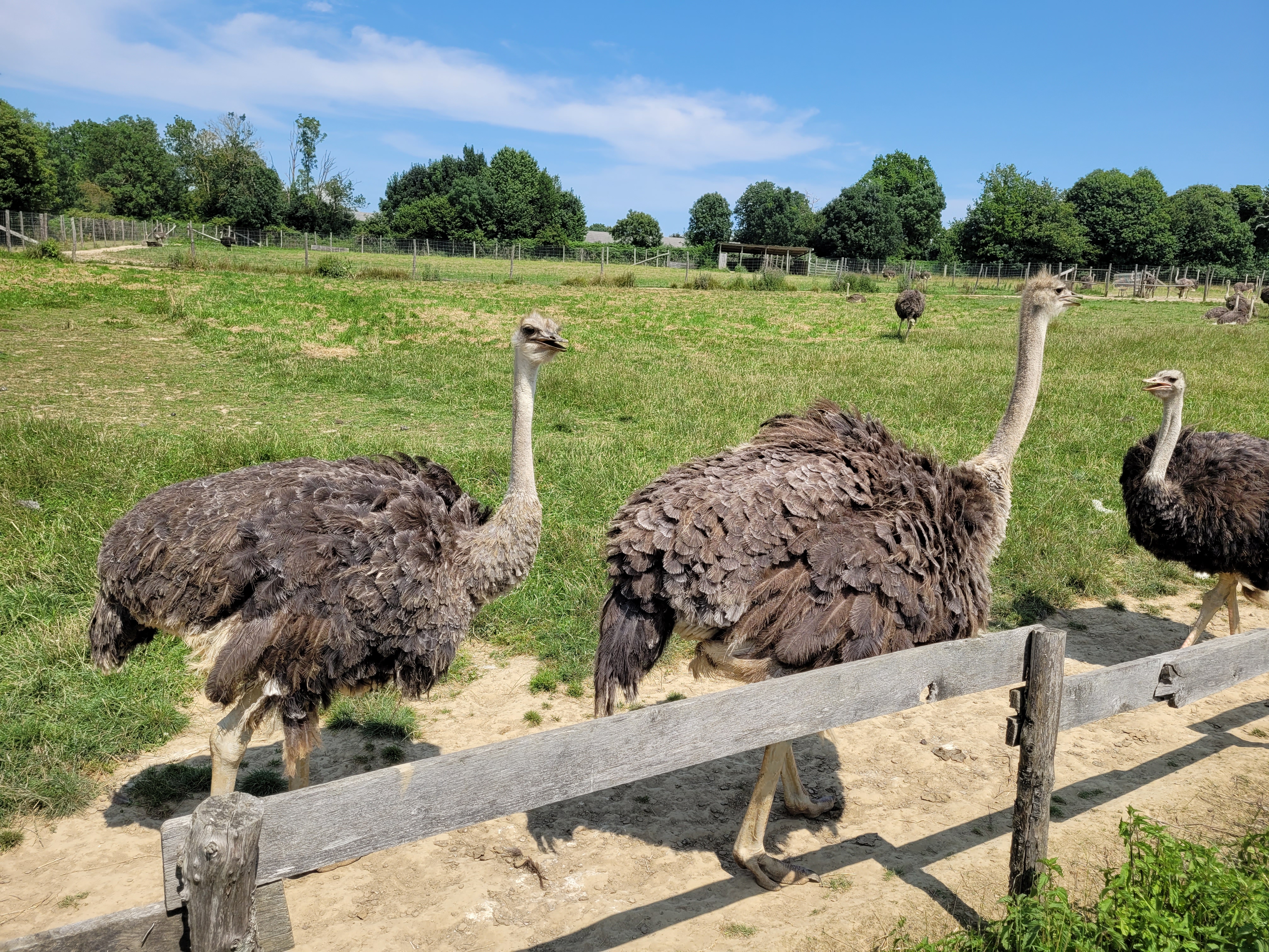 Photo n° 6 de l'avis de Stephane.n fait le 18/08/2021 à 15:08