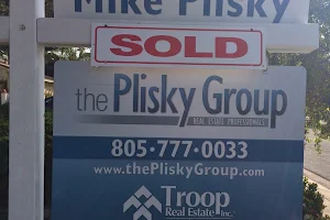 The Plisky Group image