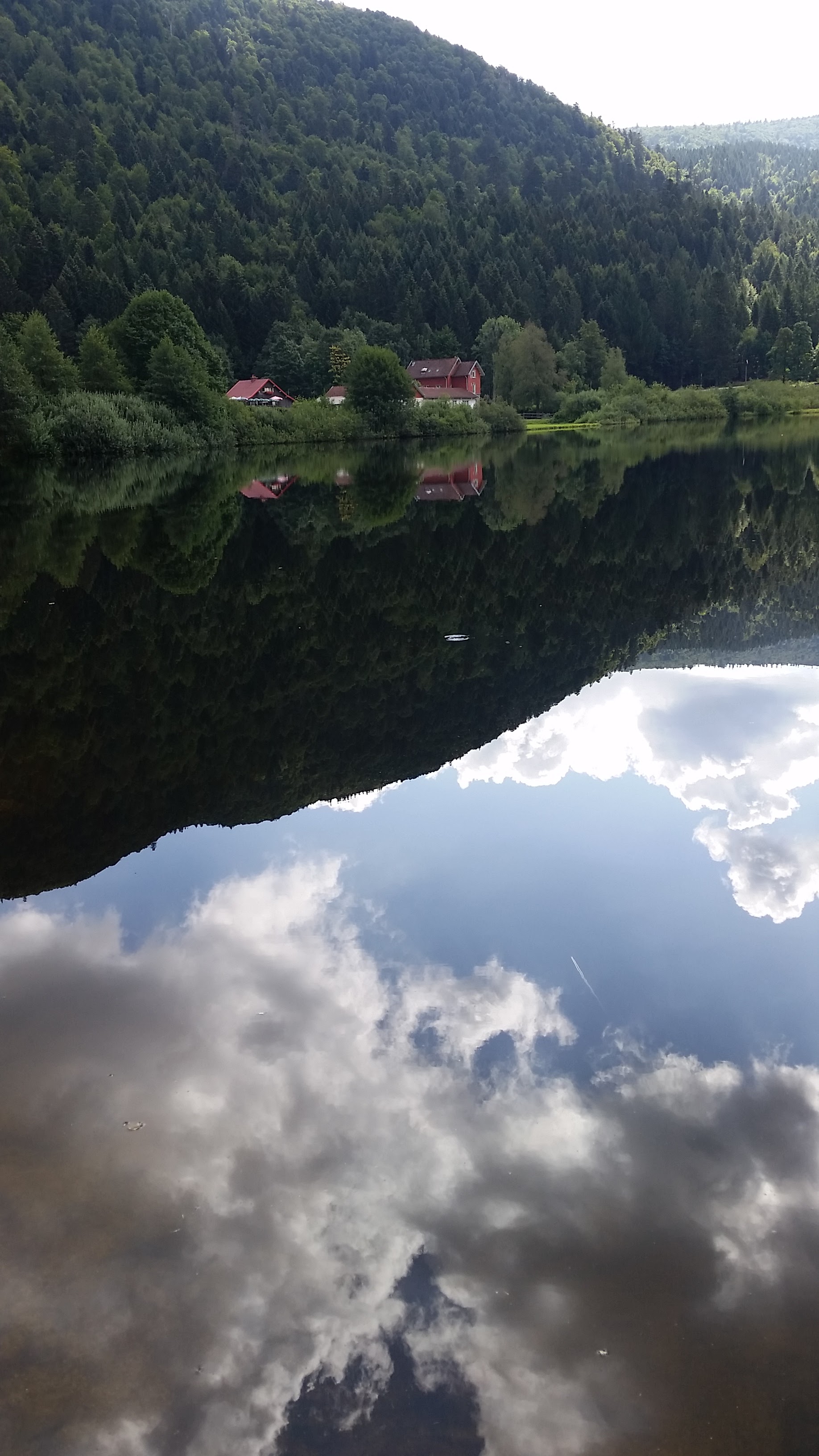 Photo n° 2 de l'avis de Damien. fait le 04/09/2019 à 10:33