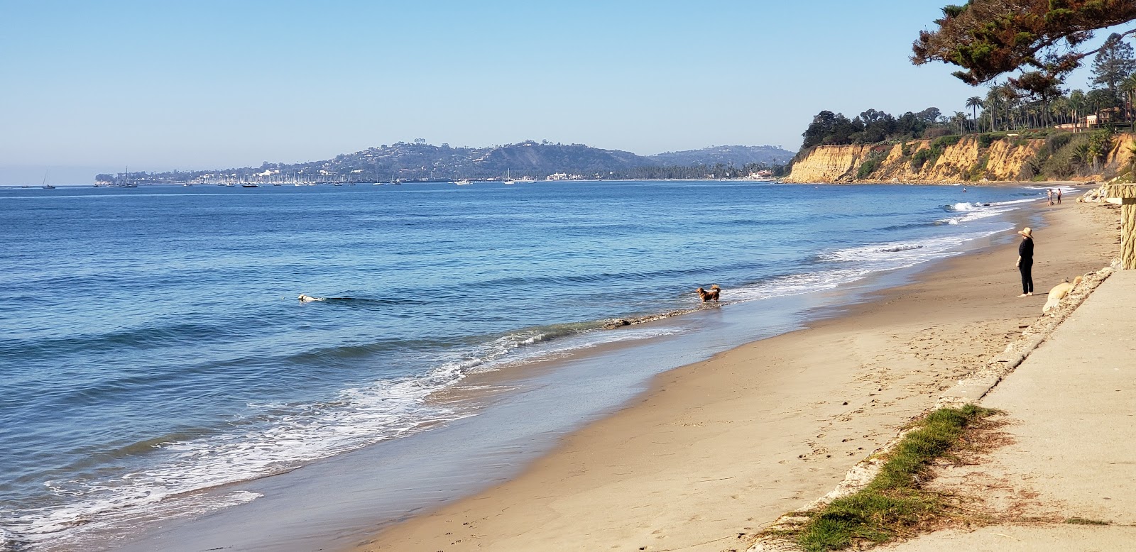 Φωτογραφία του Butterfly Beach και η εγκατάσταση