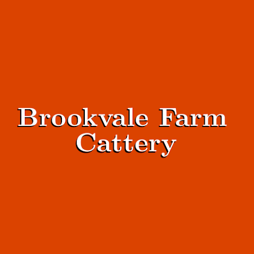 Brookvale Farm Cattery - Veterinarian