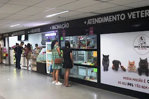 Pet Shop Dolce Animale - Banho e Tosa e Acessórios em Uberlândia image