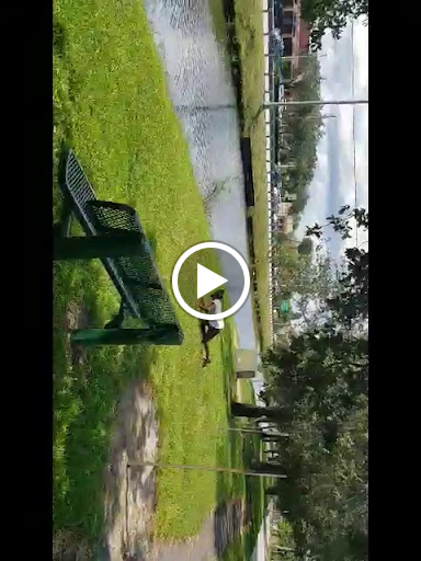 Park «Miramar Pineland Park», reviews and photos, 3600 S University Dr, Miramar, FL 33025, USA
