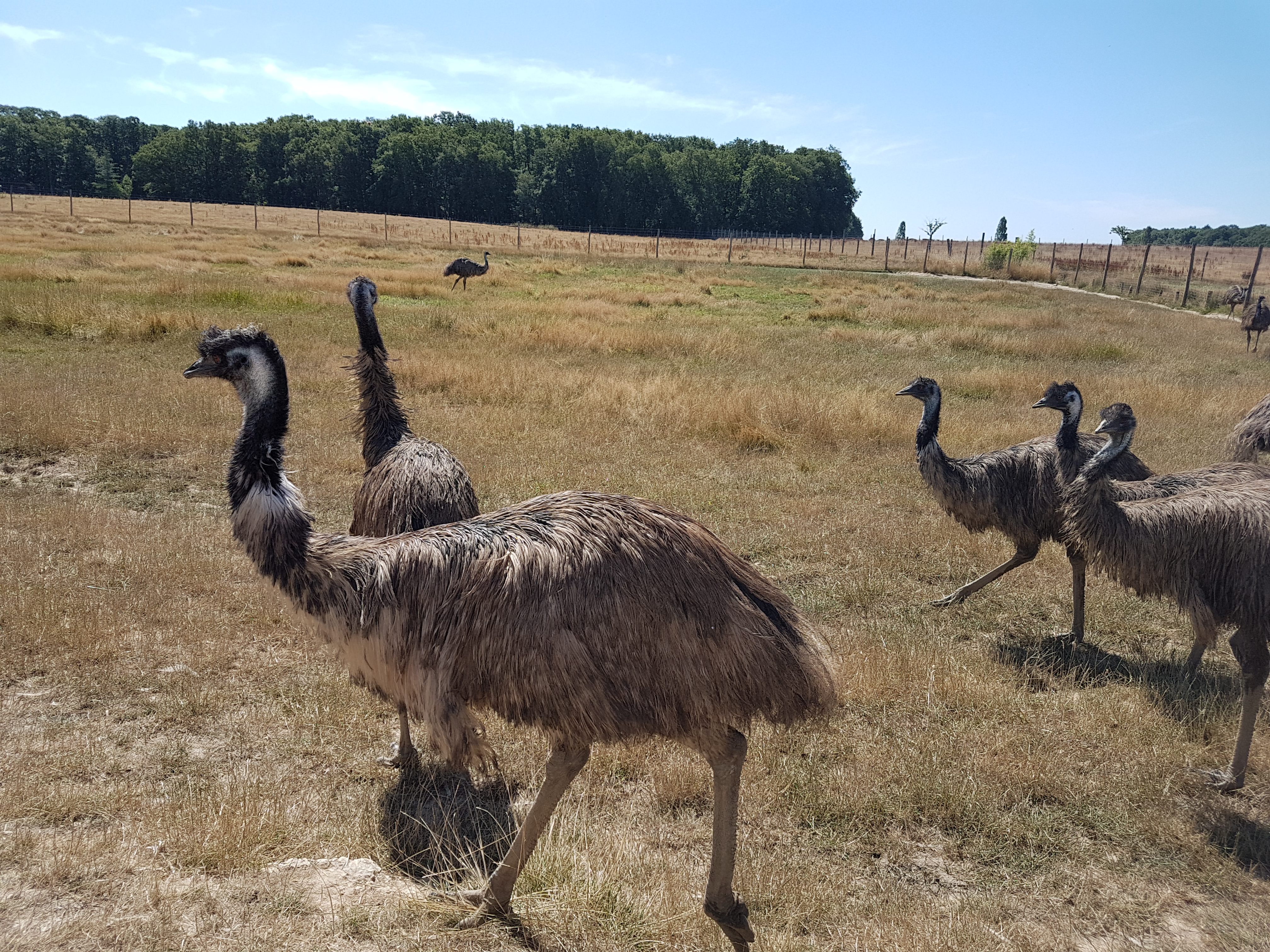 Photo n° 6 de l'avis de Antoine.u fait le 28/08/2018 à 20:48