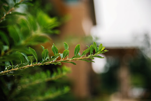 Credit Union «Arbor Financial Credit Union», reviews and photos