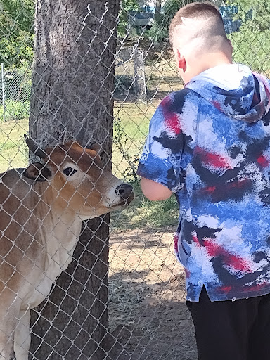 Zoo «Lupa Zoo», reviews and photos, 62 Nash Hill Rd, Ludlow, MA 01056, USA