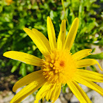 Photo n°3 de l'avis de Nelo.a fait le 09/03/2024 à 22:09 sur le  Monte Dona Maria à Odemira