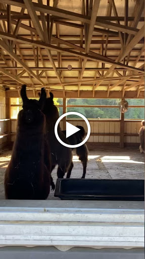 Farm «Dakota Ridge Farm», reviews and photos, 189 E High St, Ballston Spa, NY 12020, USA