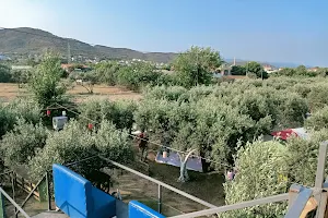 Avşa Camping image