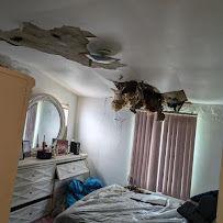 Pensicola Carpet & Upholstery Cleaning Co. - Photo 7 - Car repair in , Cleveland