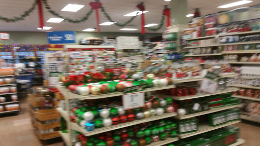 Home Goods Store «Christmas Tree Shops», reviews and photos, 295 Old Oak St #5, Pembroke, MA 02359, USA