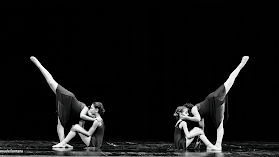 Flamingo Dance & Wellness | Centro Studi Danza Anagni | Direzione Artistica Elisabetta Pistolesi |