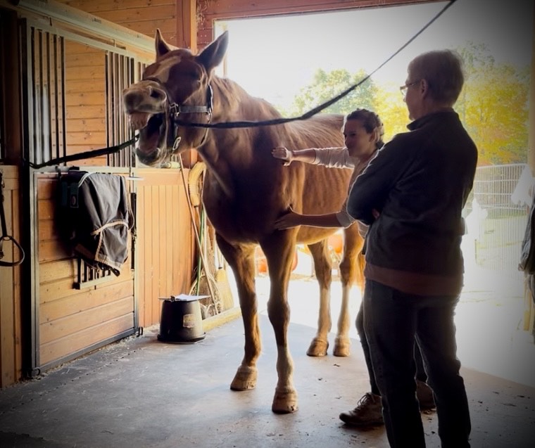 Approach Point 03278