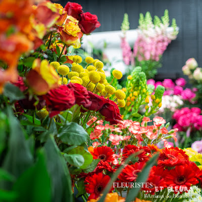 Le Bonheur des Plantes, Artisan Fleuriste Poitiers à Poitiers