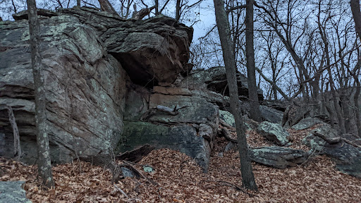 Nature Preserve «Eidolon Nature Preserve», reviews and photos, 2146 Orleans Rd, Great Cacapon, WV 25422, USA