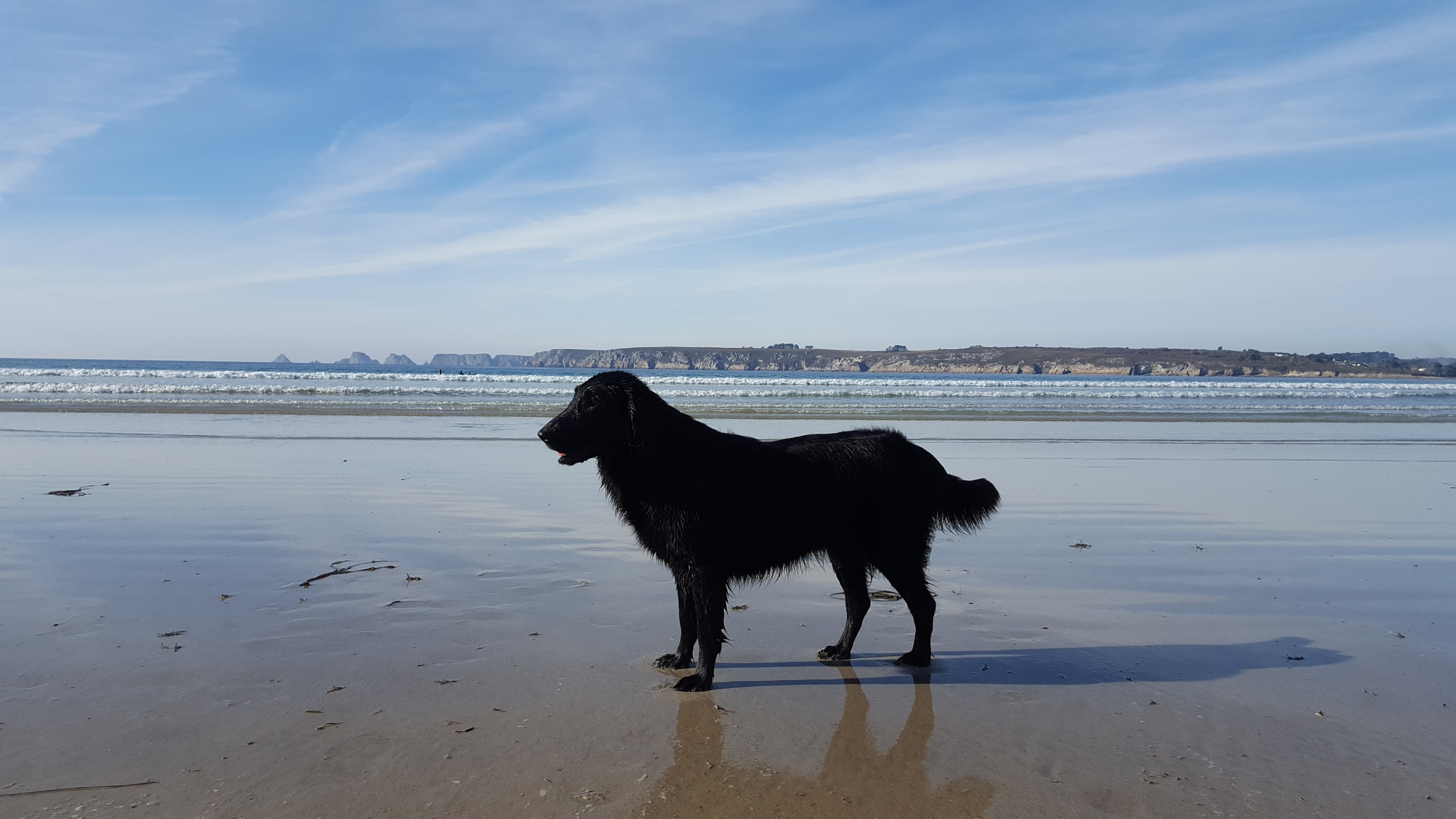 Photo n° 2 de l'avis de Véronique.o fait le 31/03/2019 à 06:21