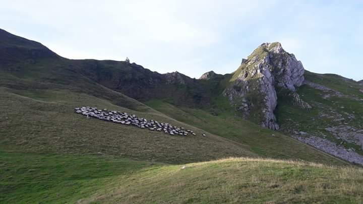 Photo n° 5 de l'avis de Marie.a fait le 17/08/2018 à 19:34