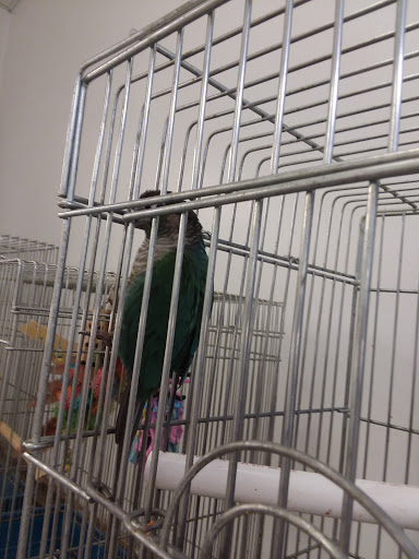 Pet Store «Pet World Warehouse Outlet», reviews and photos, 2148 W Beltline Hwy, Madison, WI 53713, USA