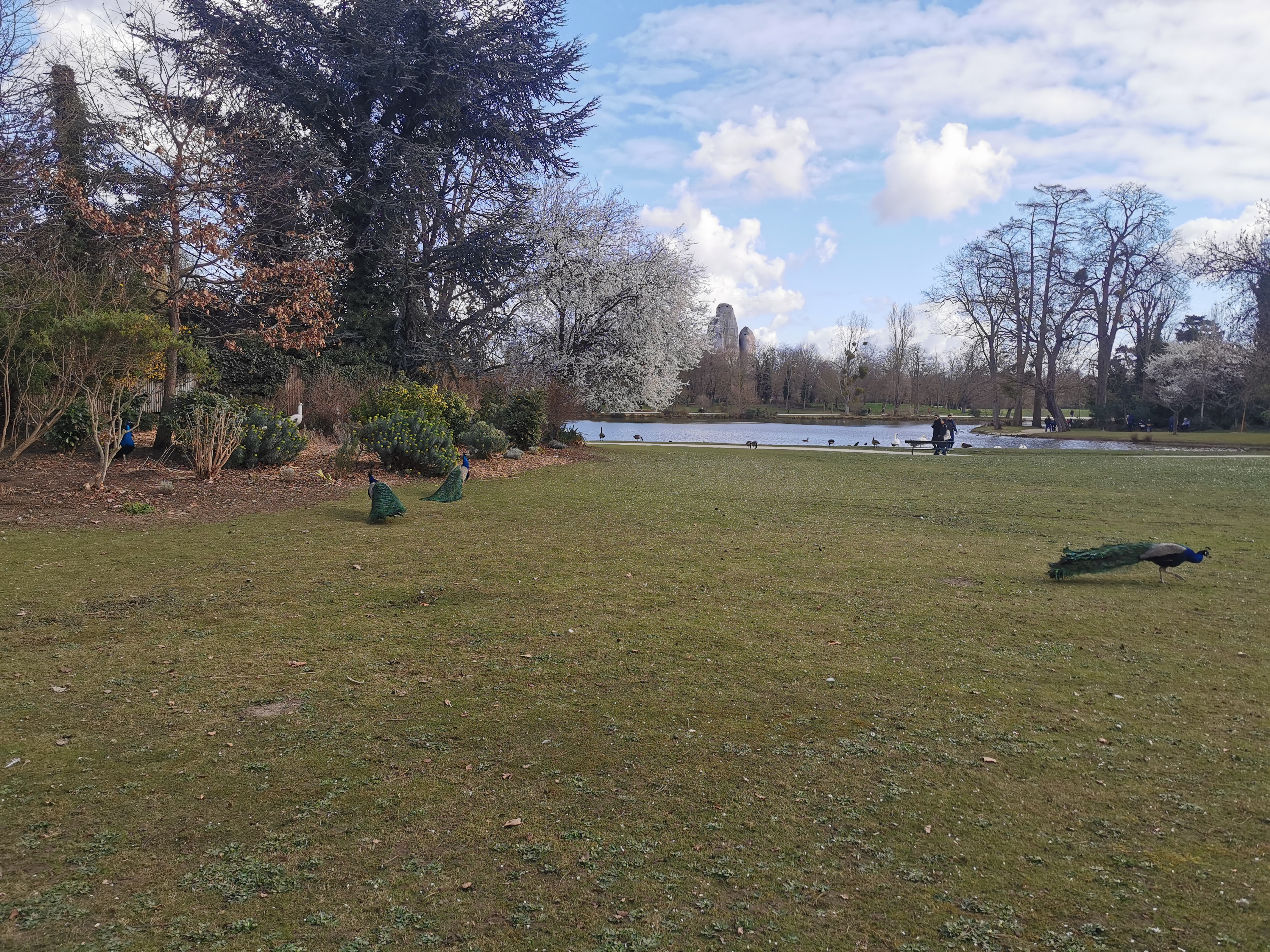 Photo n° 2 de l'avis de Abdelouahab.o fait le 30/06/2023 à 15:28