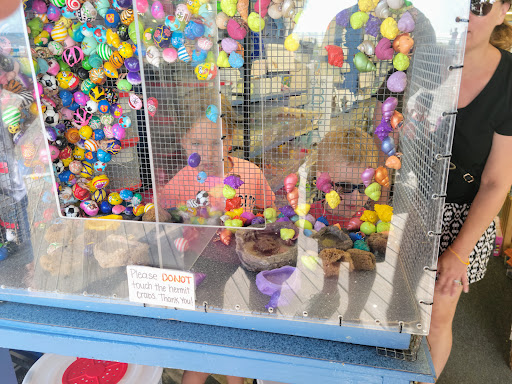 Gift Shop «Ocean Treasures», reviews and photos, 966 Boardwalk, Ocean City, NJ 08226, USA