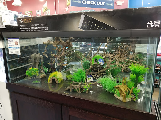 Tropical Fish Store «Aquarium Adventure», reviews and photos, 744 E Boughton Rd, Bolingbrook, IL 60440, USA